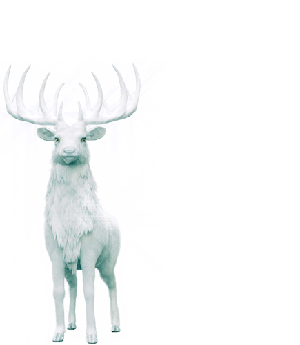 Midaur_great wild elk