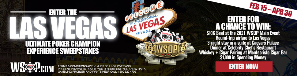 WSOP Ultimate Poker Champion Experience Sweepstakes